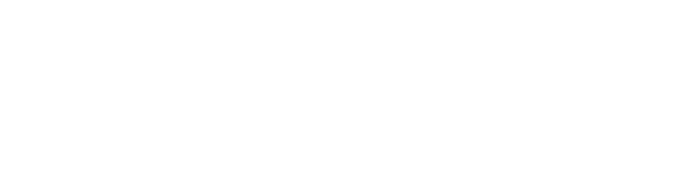 Airfence Mini