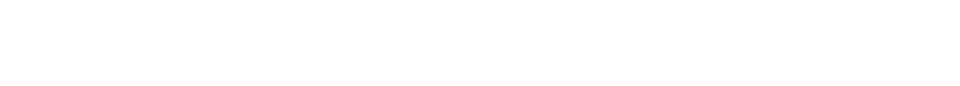 Airfence 7